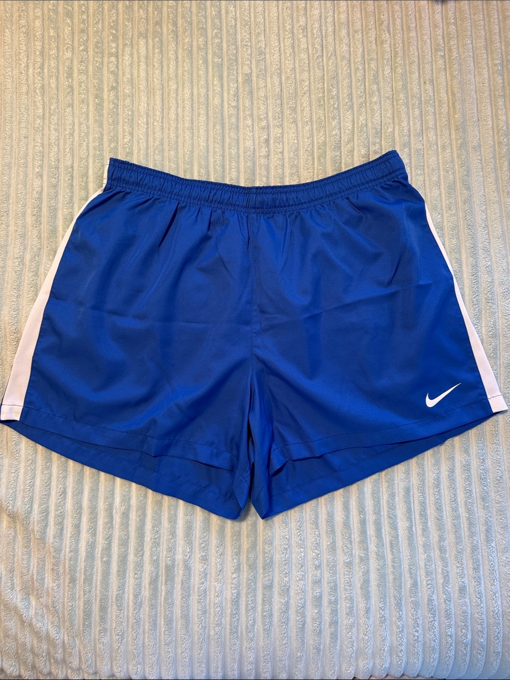 Nike Dri-Fit Running Shorts